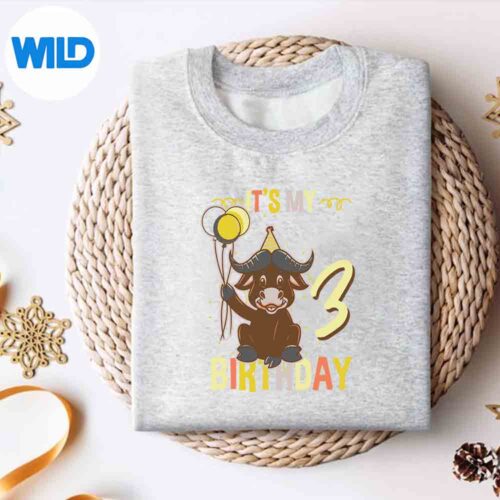 Its My Rd Buffalo Bison Lover Design for Cricut 4 ItsMyRdBuffaloBisonLoversweater