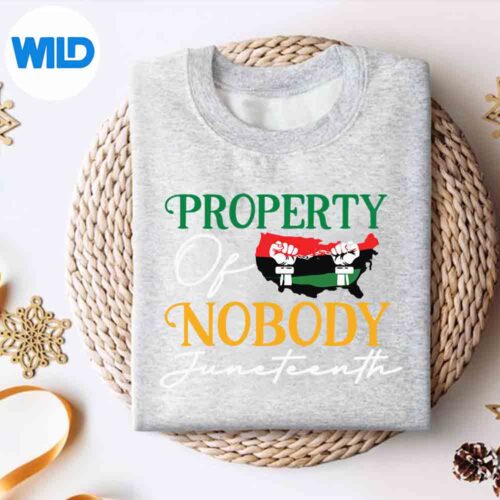 JuneteenthFreedomMelaninBlackPropertyOfNobodysweater