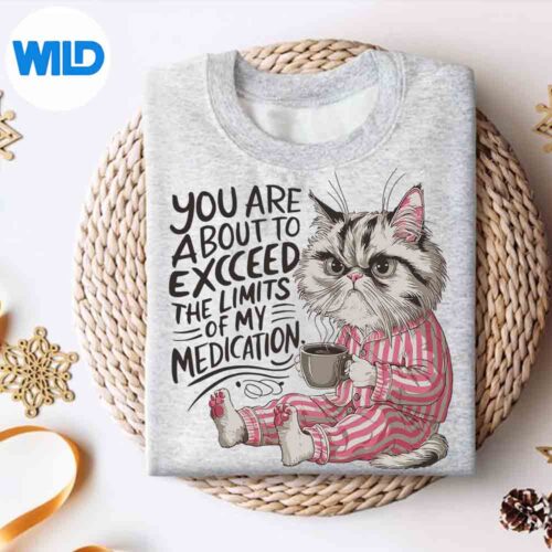 YouAreAboutToExceedTheLimitsOfMyMedicationsweater