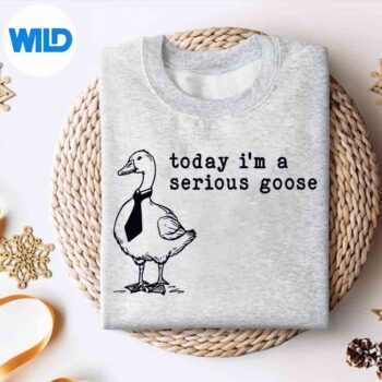 TodayImASeriousGoosesweater