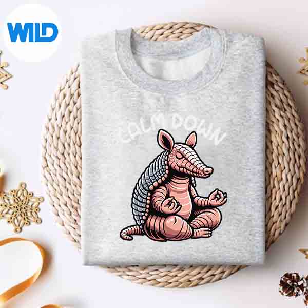 Armadillo Calm Down Yoga Meditation SVG PNG Cut File 4 ArmadilloCalmDownYogaMeditationsweater