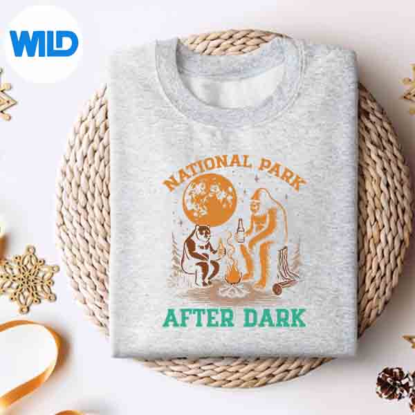 National Park After Dark Vintage Silhouette SVG PNG 4 NationalParkAfterDarkVintagesweater