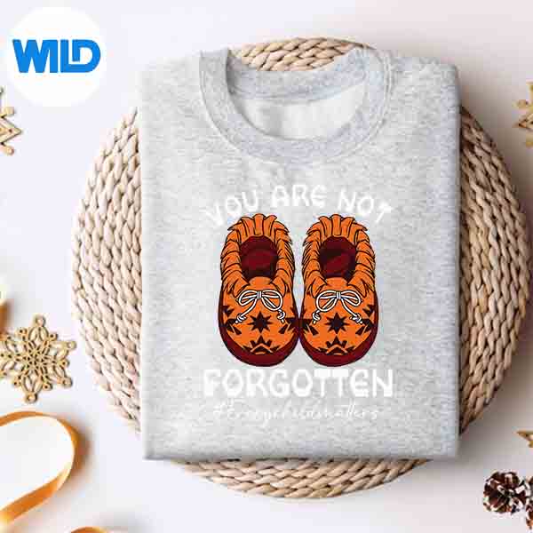 You Are Not Forgotten Indigenous Native American Roots Digital Download 4 YouAreNotForgottenIndigenousNativeAmericanRootssweater