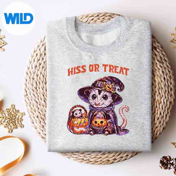 Hiss Or Treat Halloween Pumpkin Witch Opossum Possum Digital Download 4 HissOrTreatHalloweenPumpkinWitchOpossumPossumsweater