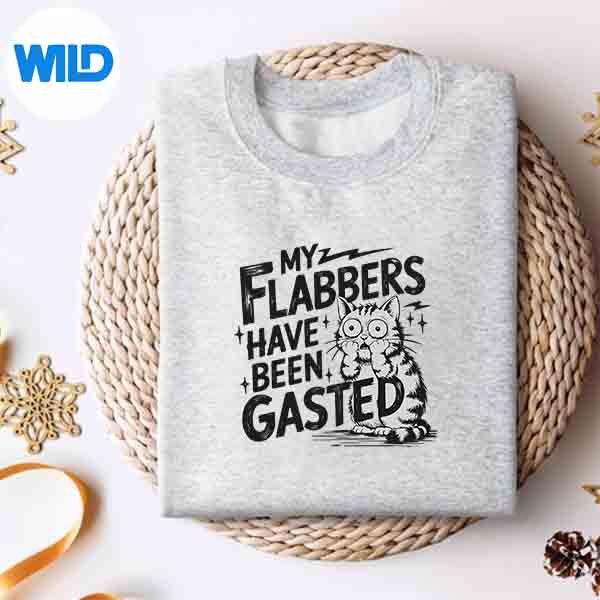 Cat Meme My Flabbers Have Been Gasted Silhouette SVG PNG Cut File 4 CatMemeMyFlabbersHaveBeenGastedsweater