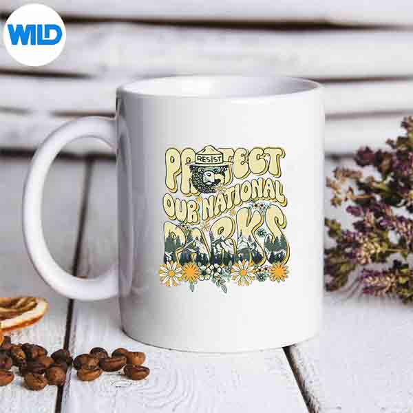 Retro Groovy Protect Our National Parks Bear SVG Cut File