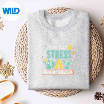 TestDayNotStressDayTeacherStudentYouGotThissweater