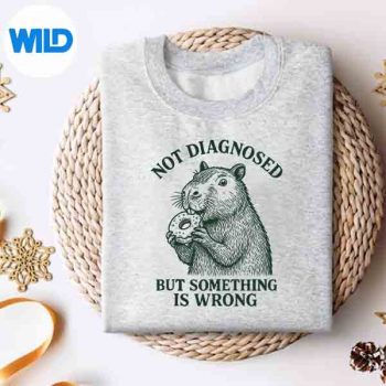 NotDiagnosedButSomethingIsWrongtalHealthsweater