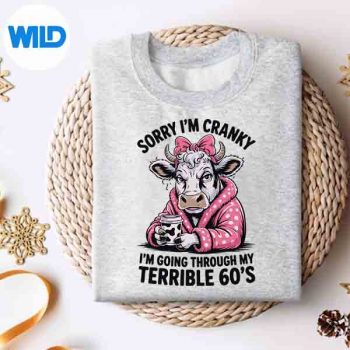 Sorry Im Cranky Im Going Through My Terrible 60s Silhouette SVG PNG Cut File 4 SorryImCrankyImGoingThroughMyTerrible60ssweater