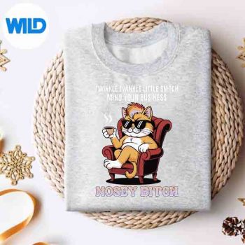 TwinkleTwinkleLittleSnitchMindYourBusinessNosyBtchsweater