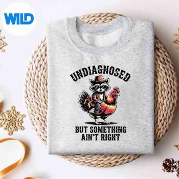 Undiagnosed But Something Aint Right Raccoon Meme Design for Cricut 4 UndiagnosedButSomethingAintRightRaccoonMemesweater 1
