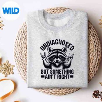 UndiagnosedButSomethingAintRightRaccoonMemesweater