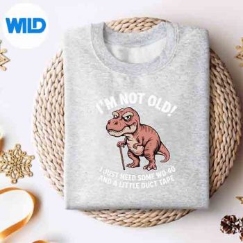 GrumpyDinosaurImNotOldJustNeedWd40AndDuctTapesweater