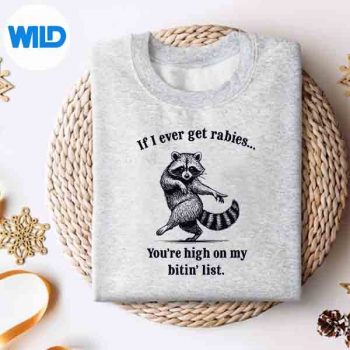 IfIEverGetRabiesYouAreHighOnMyBitinListRaccoonsweater