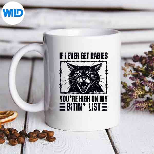 IfIEverGetRabiesYoureHighOnMyBitinListAngryCatmug