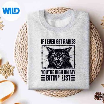IfIEverGetRabiesYoureHighOnMyBitinListAngryCatsweater