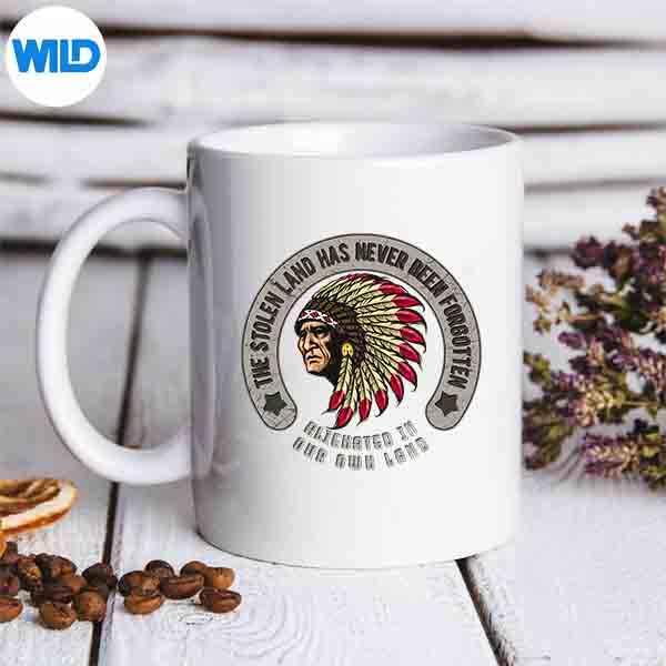 NoOneIsIllegalOnStolenLandNativeAmericanIndianmug