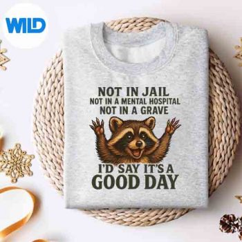 NotInJailNotInAtalHospitalNotInAGraveRaccoonsweater