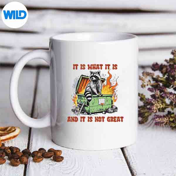 RaccoonMemeItIsWhatItIsAndItIsNotGreatmug