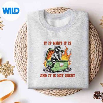 RaccoonMemeItIsWhatItIsAndItIsNotGreatsweater