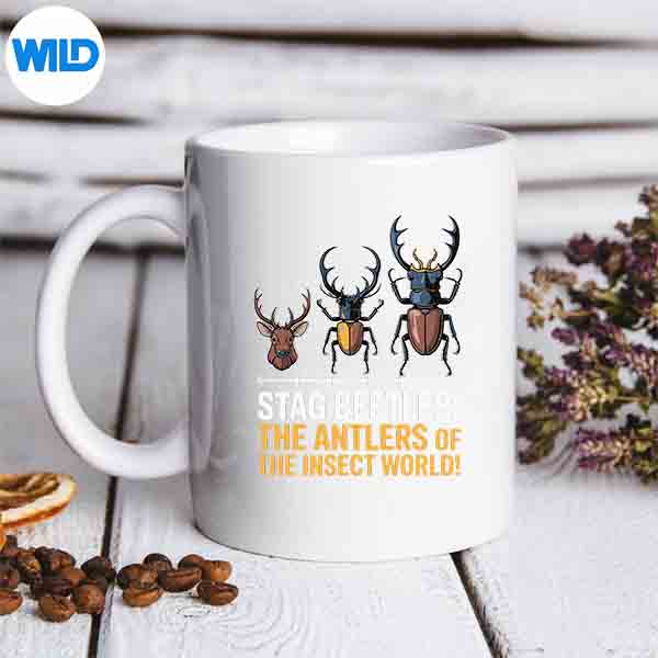 Stag Beetles Antlers Of The Insect World Bug Art Silhouette SVG PNG 7 StagBeetlesAntlersOfTheInsectWorldBugArtmug