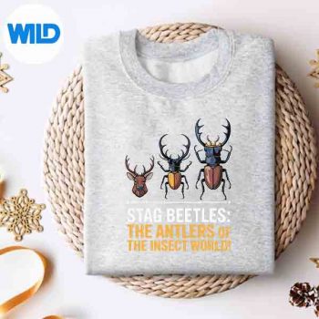 StagBeetlesAntlersOfTheInsectWorldBugArtsweater