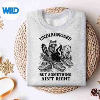 Undiagnosed But Something Aint Right Raccoon Meme SVG PNG Digital Download 4 UndiagnosedButSomethingAintRightRaccoonMemesweater