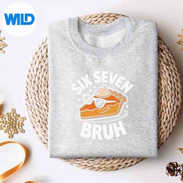 67 Thanksgiving Six Seven Meme Pumpkin Pie Bruh SVG PNG Cut File 2 67 Thanksgiving Six Seven Meme Pumpkin Pie Bruh SVG PNG Cut File - Image 2