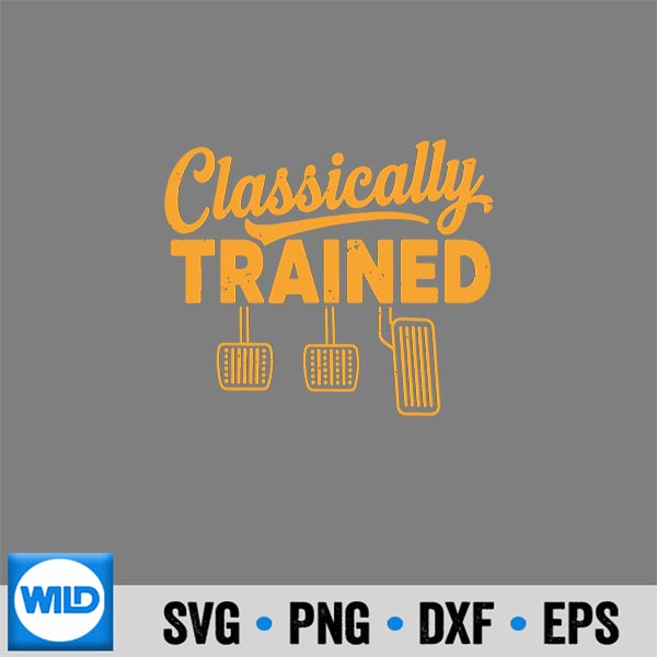 AllyTrainedManualCarPedalsDrivingHumor