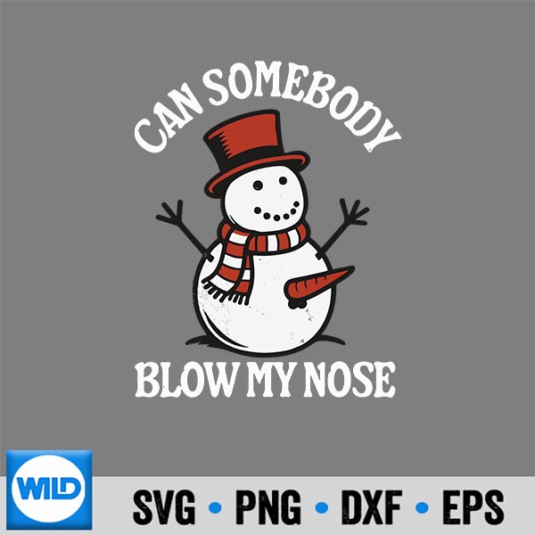 CanSomebodyBlowMyNoseInappropriateChristmas