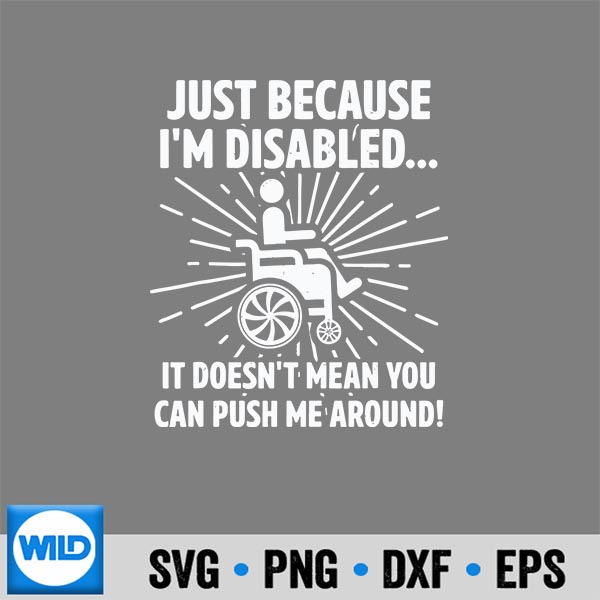 JustBecauseImDisabledItDoesntMeanYouCanPushMe