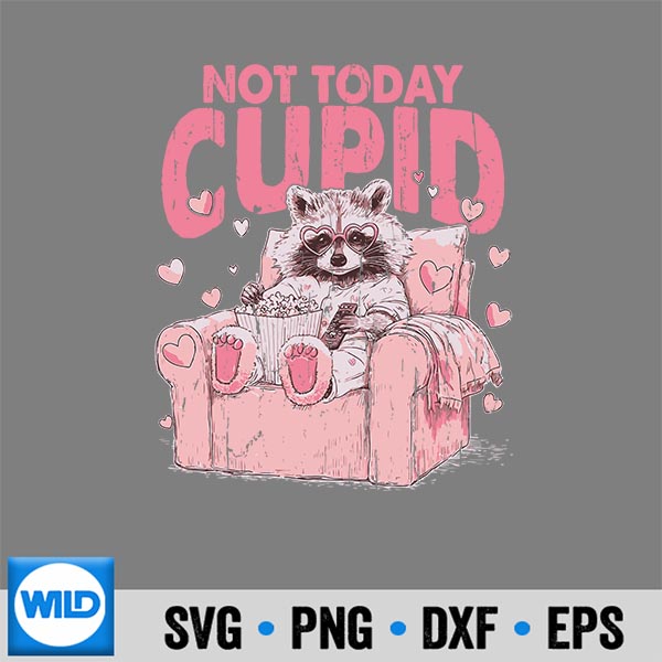 NotTodayCupidSarcasticRaccoonValentines