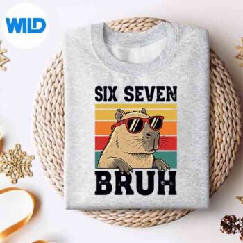 SixSevenBruh67MemeCapybarasweater