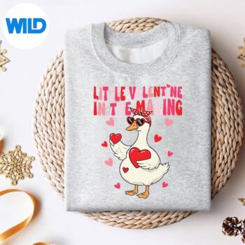 ValentineDayPregnancyAnnouncementGooseBabyBowsweater