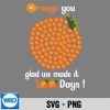 100OrangesYouGladWeMadeIt100Days