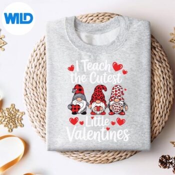 ITeachTheCutestLittleValentinesGnomeTeacherssweater