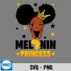 MelaninPrincessBlackHistoryMonthAfroAmericanGirls