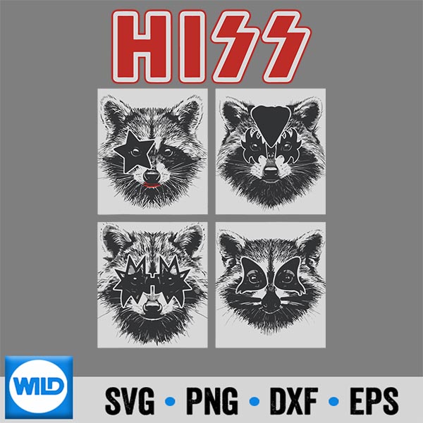 RaccoonRockMusicBandConcertRaccoon