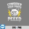 ConsiderYourPantsPeedCatMemeBrainrotY2k
