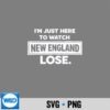 ImJustHereToWatchNewEnglandLose