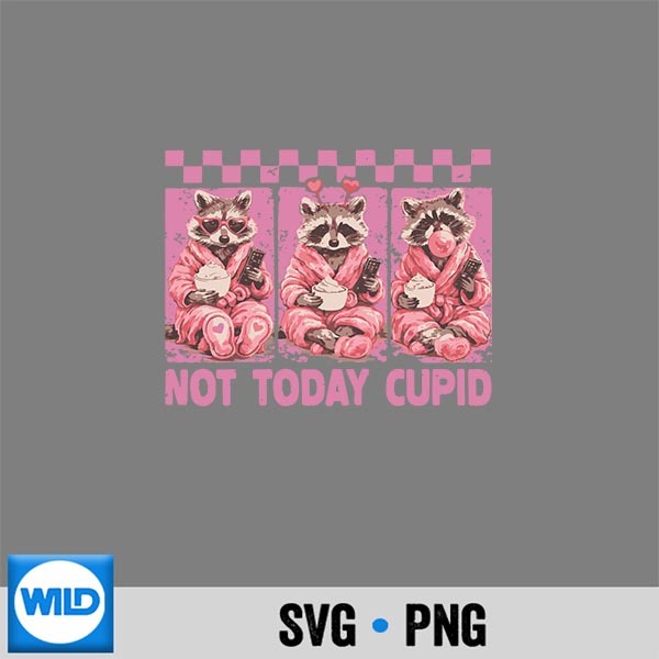 Raccoon Valentine Not Today Cupid Snarky Raccoon Valentine Digital Download 1 Raccoon Valentine Not Today Cupid Snarky Raccoon Valentine Digital Download