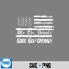 Us Flag We The People Have Had Enough Silhouette SVG PNG PNG 6 UsFlagWeThePeopleHaveHadEnough