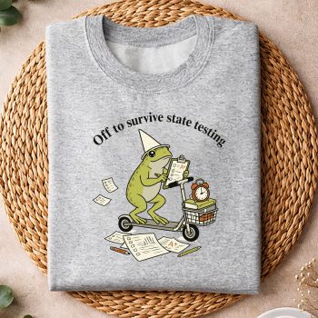 FunnyTeacherStateTestingHumorEducatorsweater.jpg