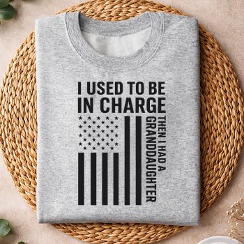 IUsedToBeInChargeThenIHadAGranddaughtersweater.jpg